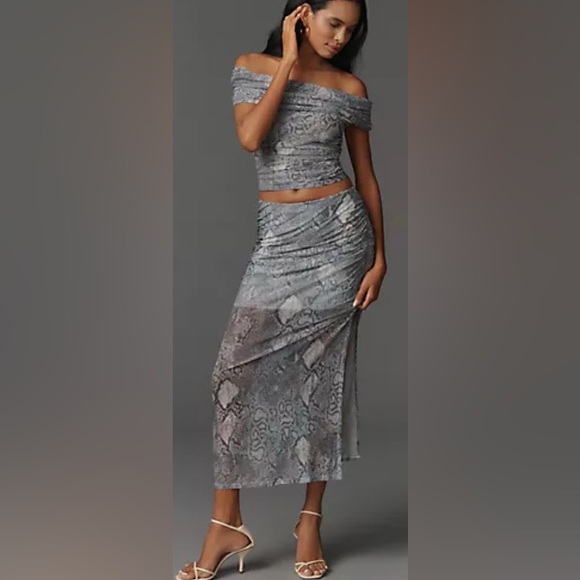 Maeve Dresses & Skirts - Anthropologie The Aleda Mesh Ruched Maxi
Skirt by Maeve - Size M